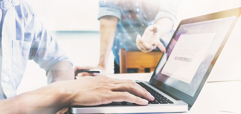 Software Training and Implementation